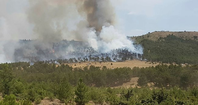 Burdur'da orman yangını! Evler boşaltıldı