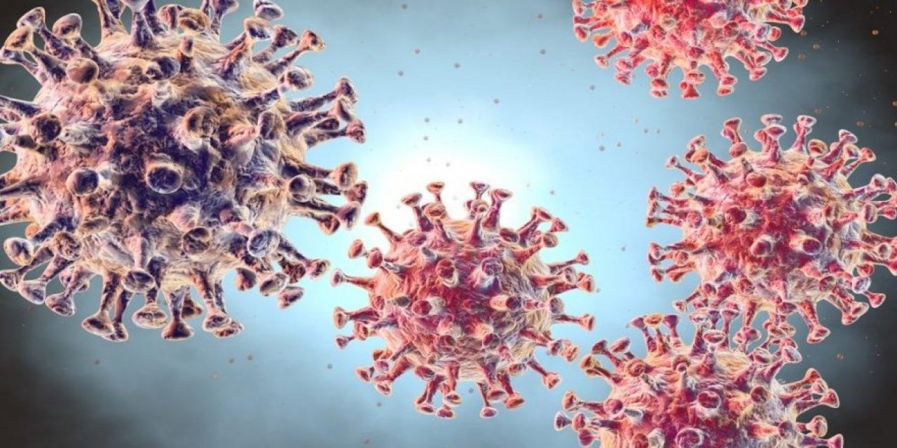 H5N6 virüsü nedir? H5N6 virüsü belirtileri nelerdir?