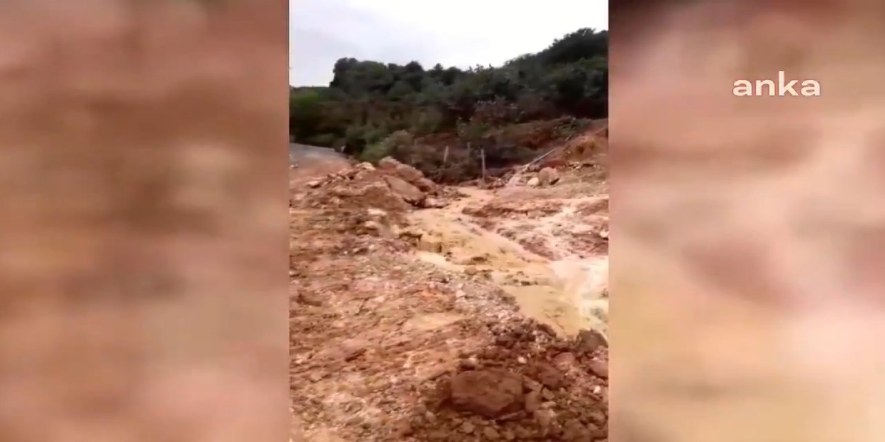 Fatsa'daki sel fındık bahçesini böyle yok etti!