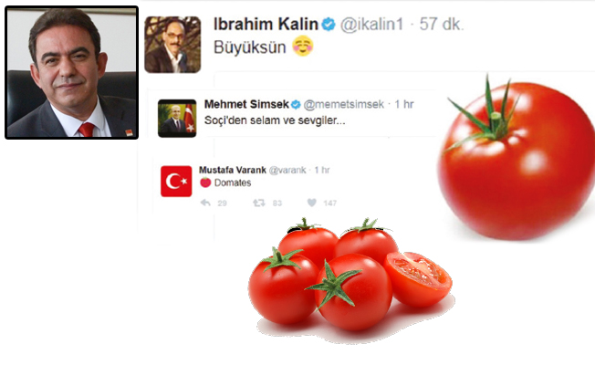 Kızaran domatesler kızarmayan suratlar