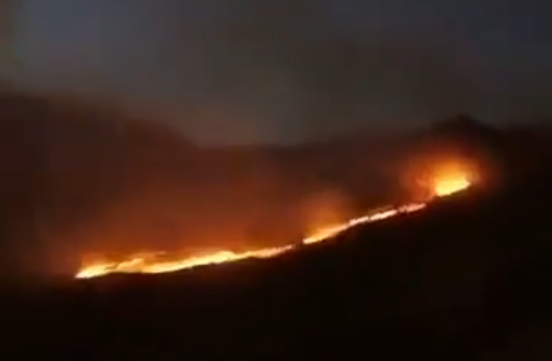 Hakkari Şemdinli'de orman yangını!