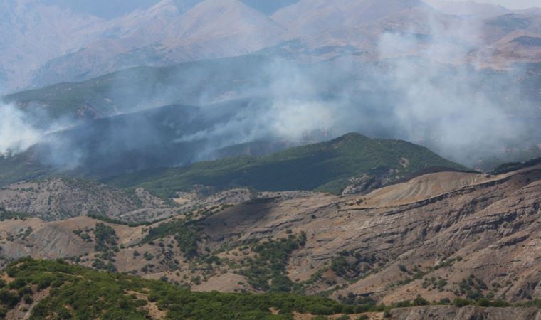 Tunceli'de yangın