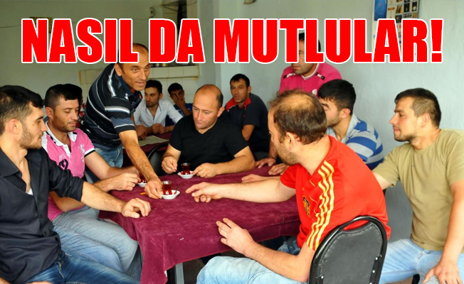 TUİK'e göre 'gençler işsiz ama mutlu'ymuş!