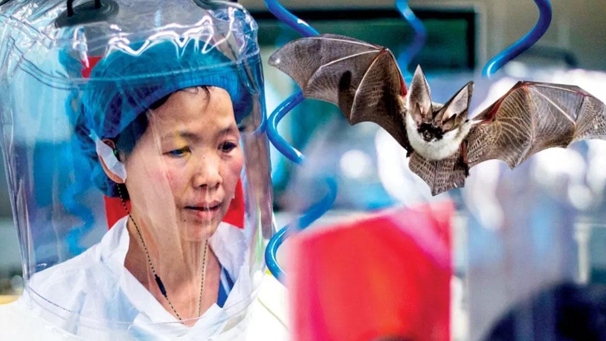 Nipah virüsü tehlikesi! 12 yaşındaki çocuk hayatını kaybetti!