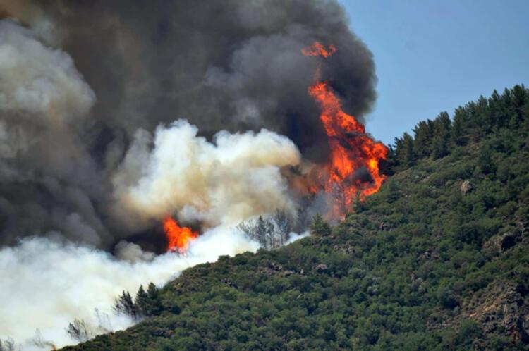 CHP, Marmaris'teki yangınlara ilişkin suç duyurusunda bulundu