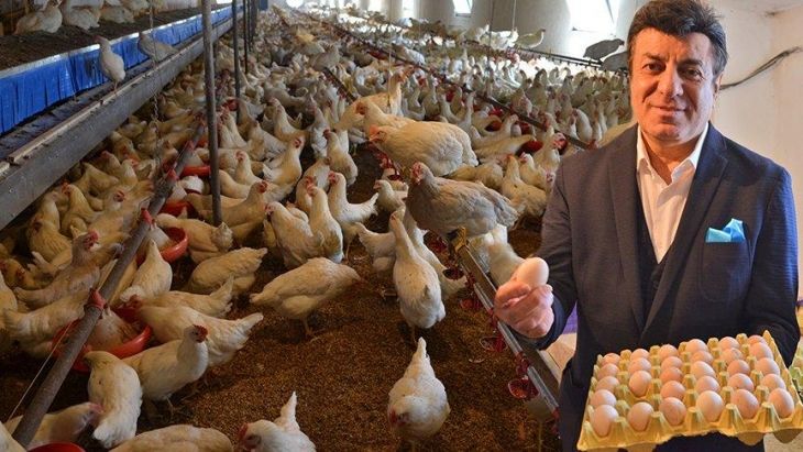 Tavuk çiftliği kuran Coşkun Sabah övüne övüne yumurta fiyatı verdi: "Benden duyun 3 lira"