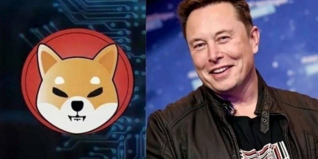 Elon Musk paylaştı, kripto para uçtu!