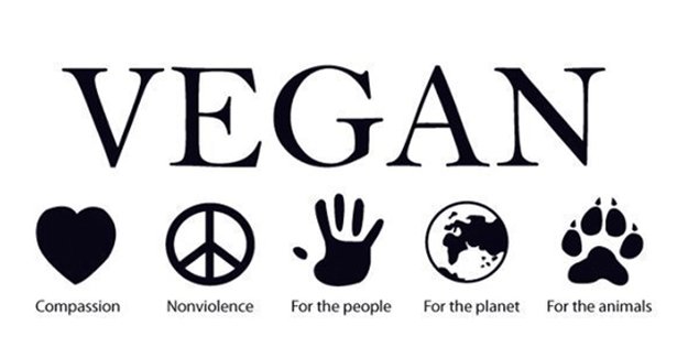 Gürcistan'da sağcı grup vegan kafeye saldırdı!