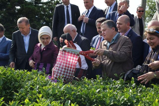 Cemil Çiçek'ten, Erdoğan'a üstü kapalı gönderme