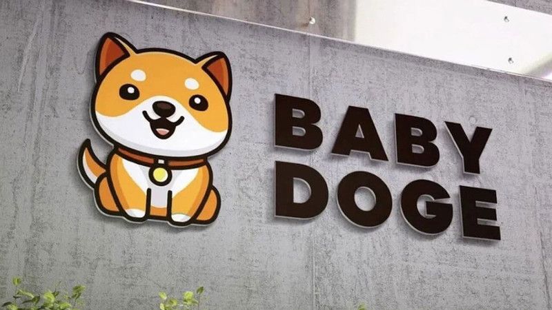 BabyDoge coin nedir? BabyDoge coin yorum ve geleceği!