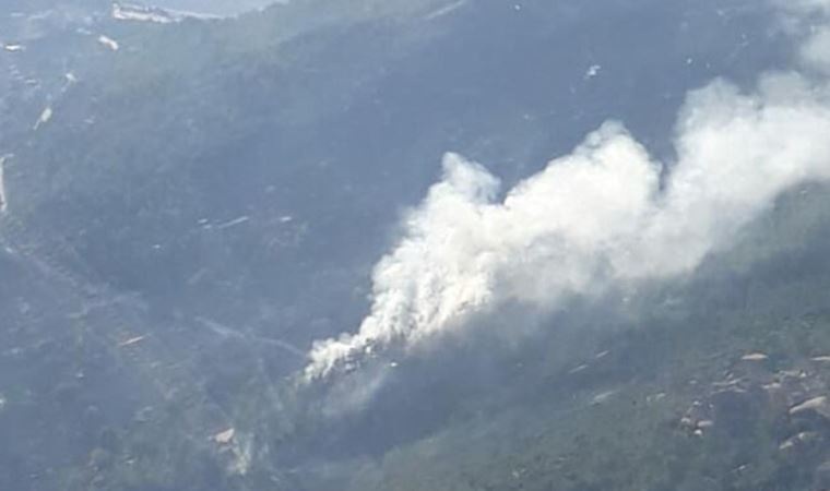 Milas'ta orman yangını
