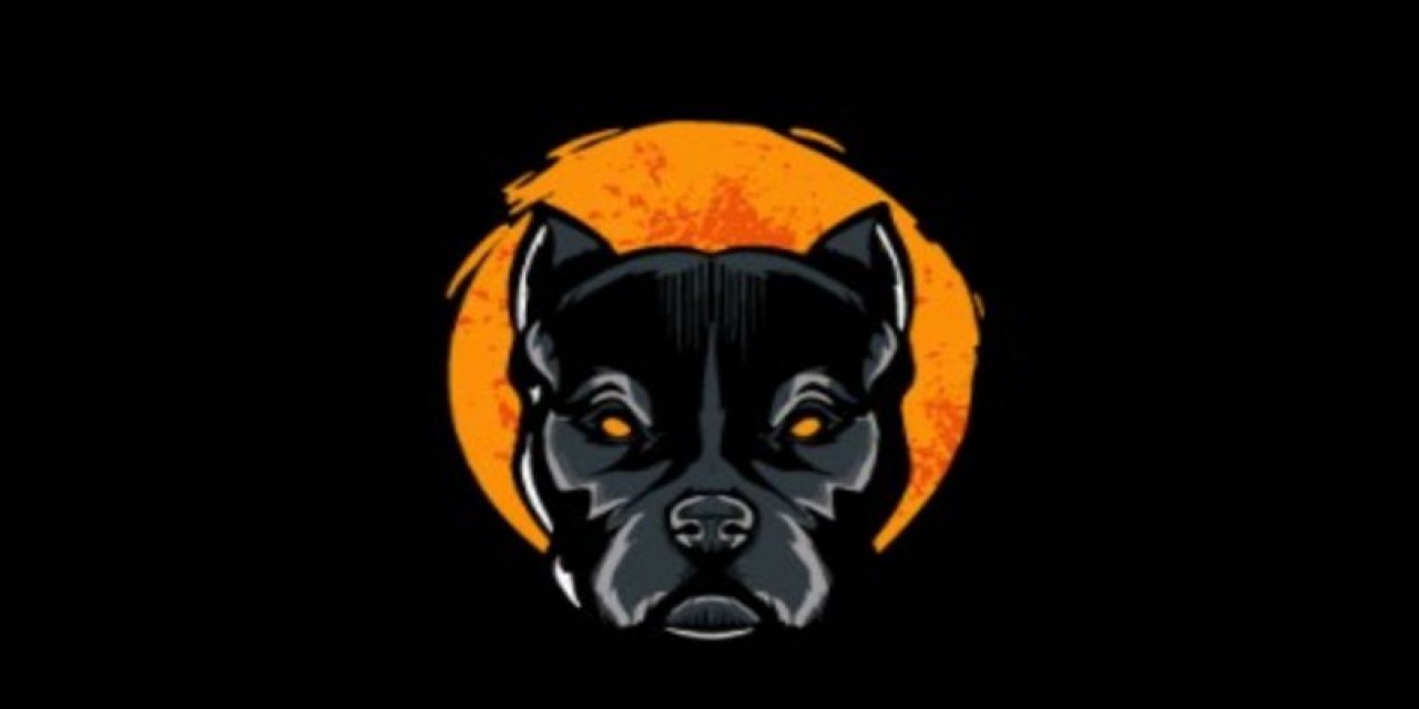 Pitbull coin nedir? Pitbull coin yorum ve geleceği!