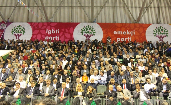 HDP'nin yeni Eş Genel Başkanı seçildi