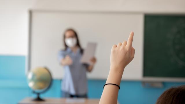 24 Kasım'da atanamayan öğretmen gerçeği