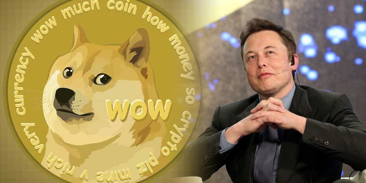 Dogecoin yorum ve geleceği! Elon Musk Dogecoin için ne dedi? Dogecoin alınır mı?