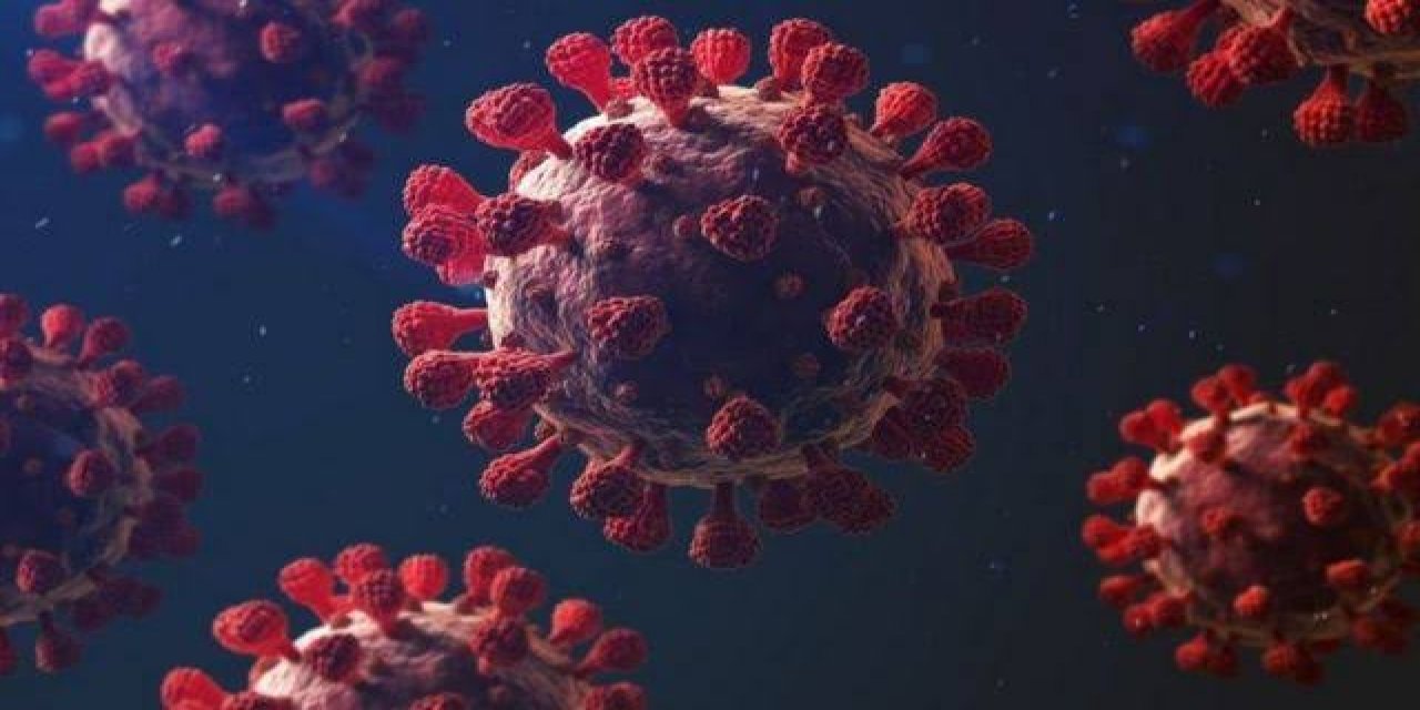27 Kasim Koronavirus Tablosu Aciklandi Umutlandiran Veriler