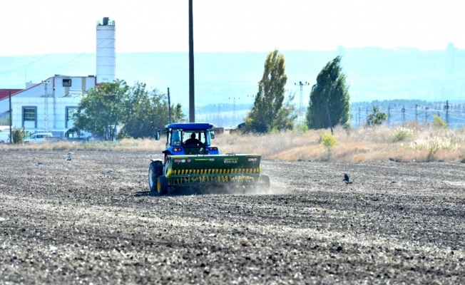 Tarım ve Orman Bakanlığı: Arpa fiyatlarının çiftçiyi zarara uğrattığı iddiası gerçek değil