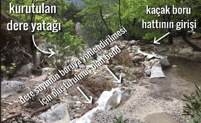 HES'çilerin doğa katliamı