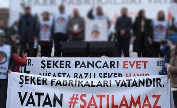 Türk Şeker üç yılda iflas noktasına geldi