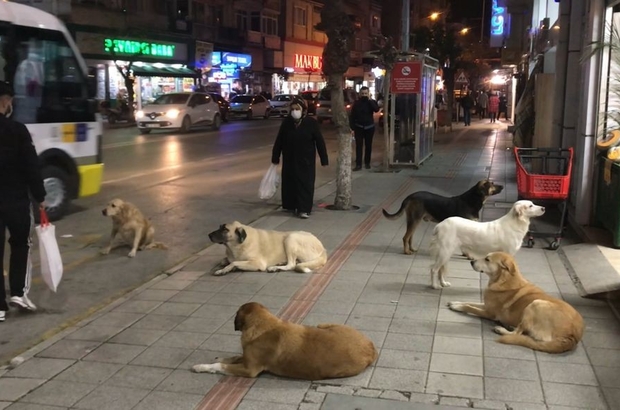 81 ile flaş genelge!