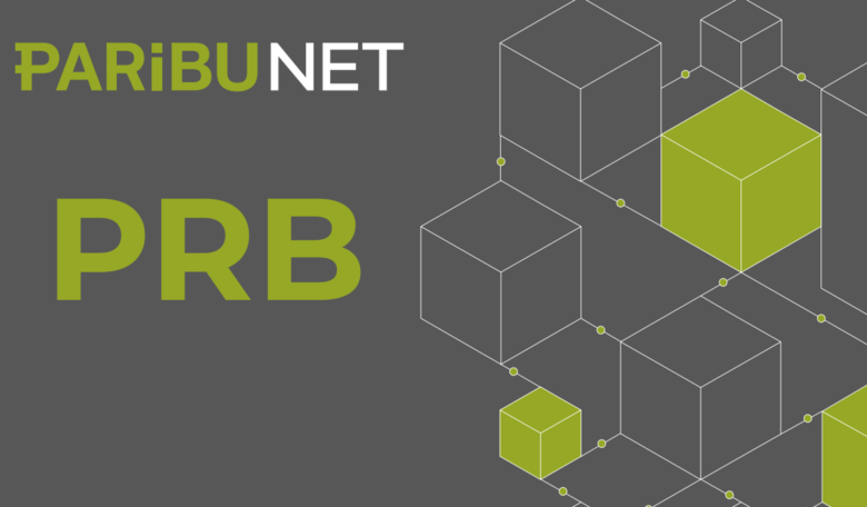 Paribu coin nedir? Paribu coin (PRB) ön satış fiyatı ne zaman?