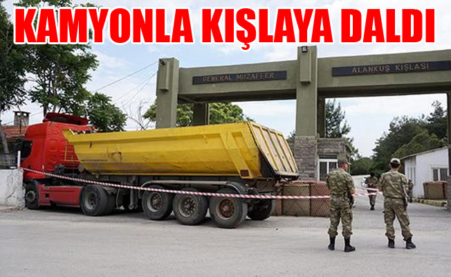 İşte bu da bonzai kafası