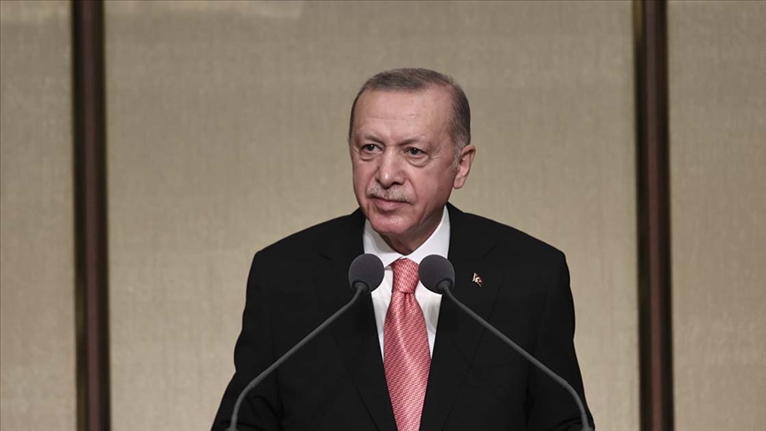 Erdoğan doktorlara 'varsın gitsinler' dedi, Almanya kapıları açtı