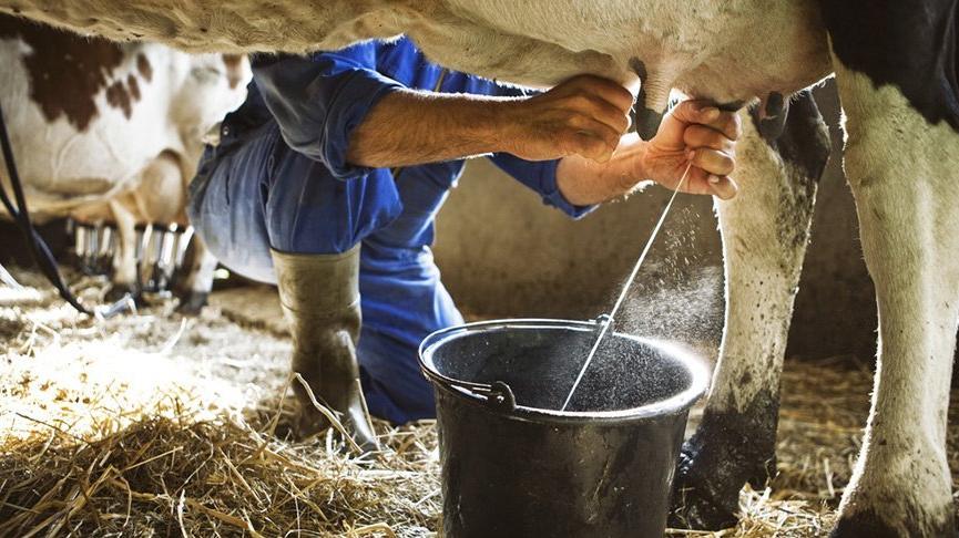 Yağ krizinden sonra yeni kriz uyarısı!