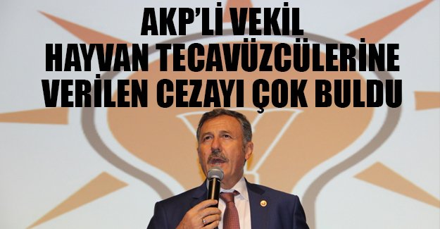 AKP'li milletvekili hayvan tecavüzüne verilen cezayı çok buldu: Bir şans daha verelim