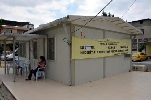 Adana'da kuduz karantinası