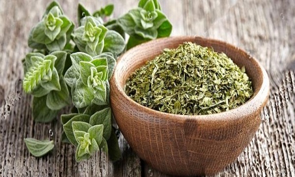Bağışıklığı güçlendiriyor, enfeksiyon ve kanserden zırh gibi koruyor!