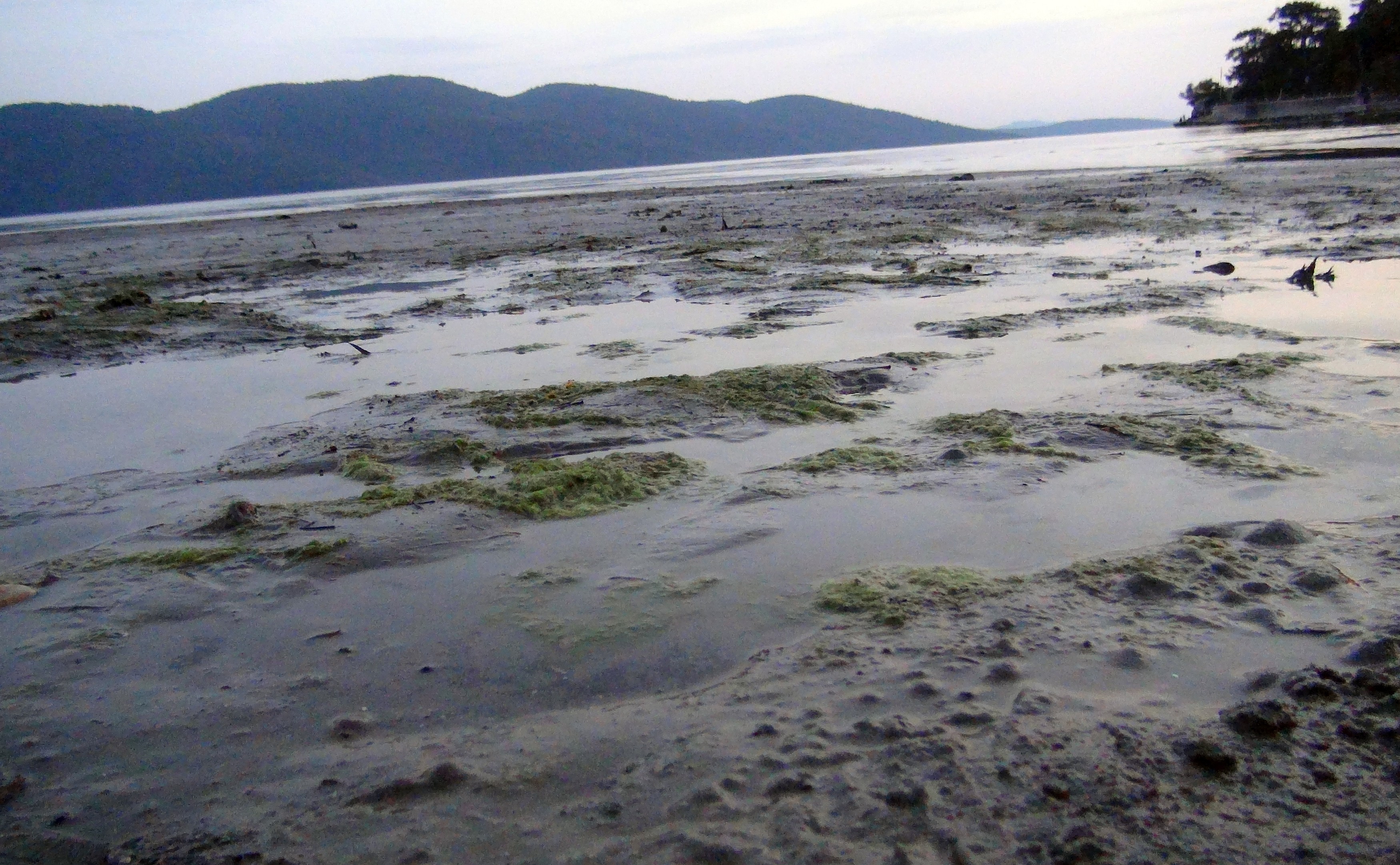 Muğla'da süper gelgit: Deniz suyu 50 metre çekildi