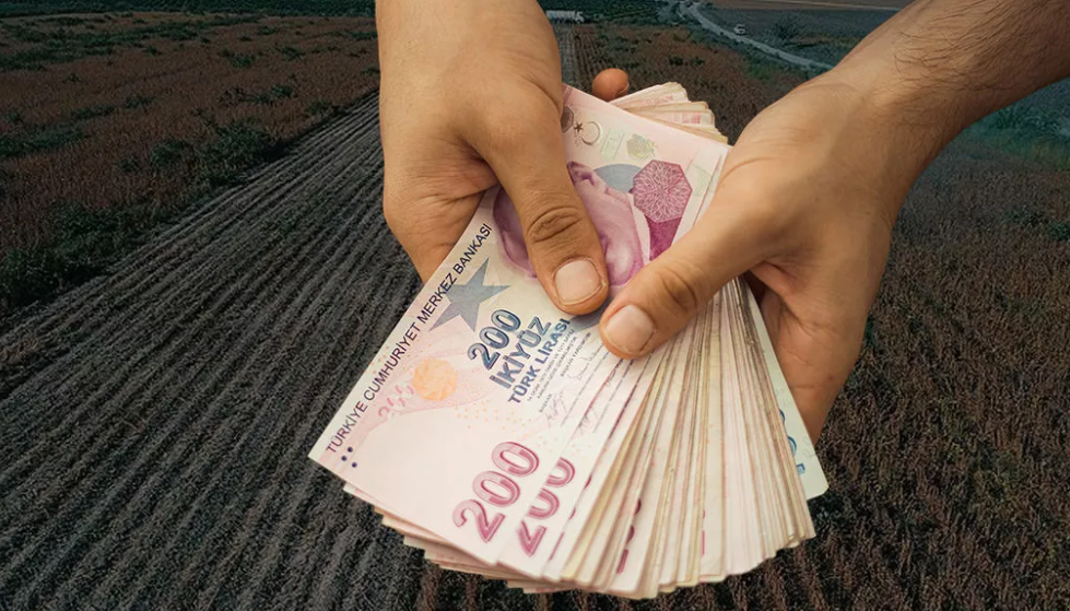 Uzman isim açıkladı! Hükümet para dağıtacak