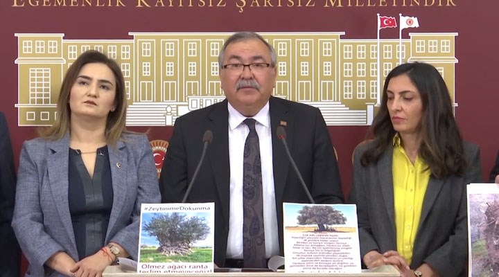 CHP’li Bülbül’den Danıştay’a zeytinlik çağrısı!