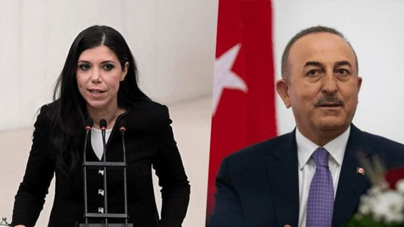AKP’li eski vekil Pelin Gündeş: Çavuşoğlu yolumu kesip hakaret etti