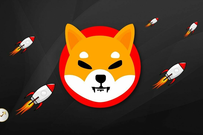 Shiba'da neler oluyor? Balinaların hedefi nedir?