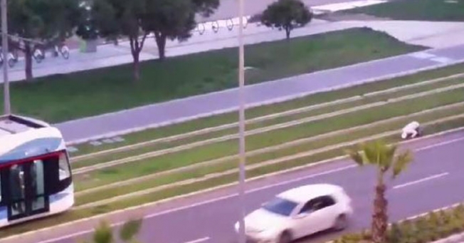 Sosyal medyaya damga vuran görüntü