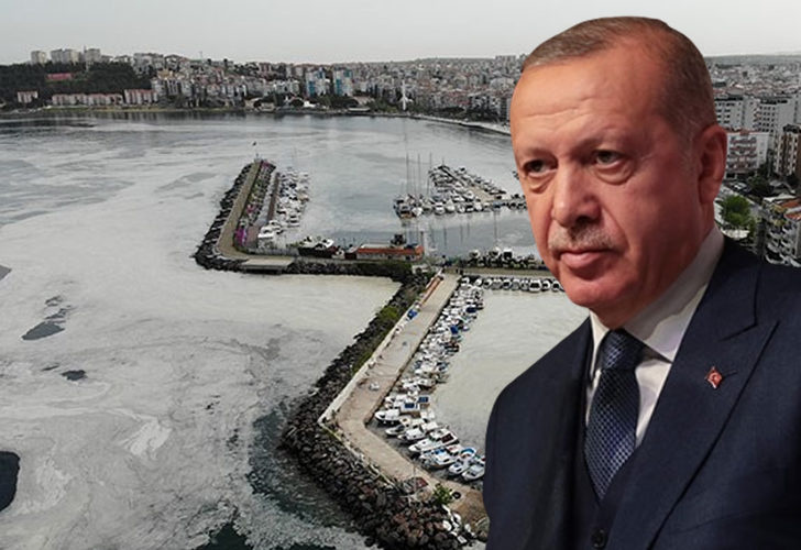 Erdoğan'a bir yetki daha! Hepsini o belirleyecek