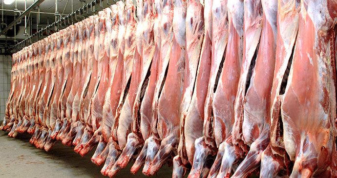 Kurban Bayramı yaklaşırken dikkat! Hem dünyada hem Türkiye'de hayati boyutta riski var...