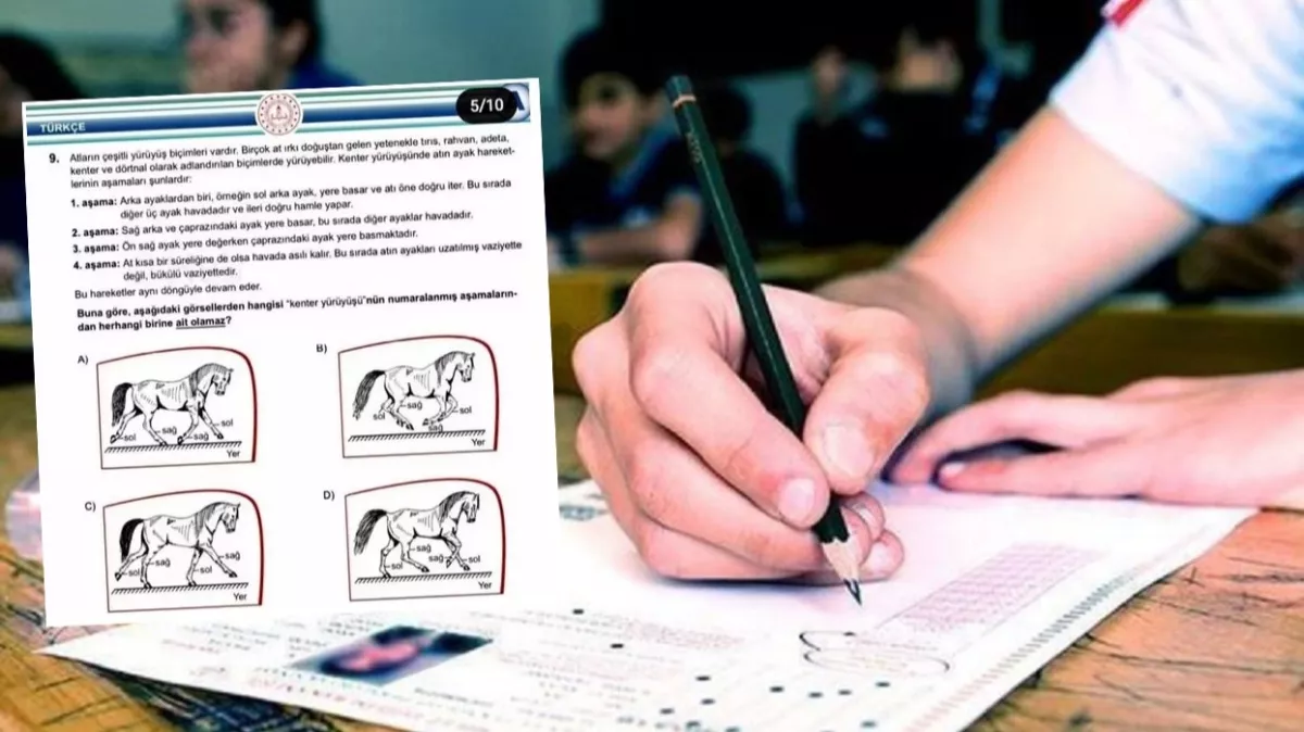 LGS’nin at sorusu tartışmasına eğitimciler noktayı koydu