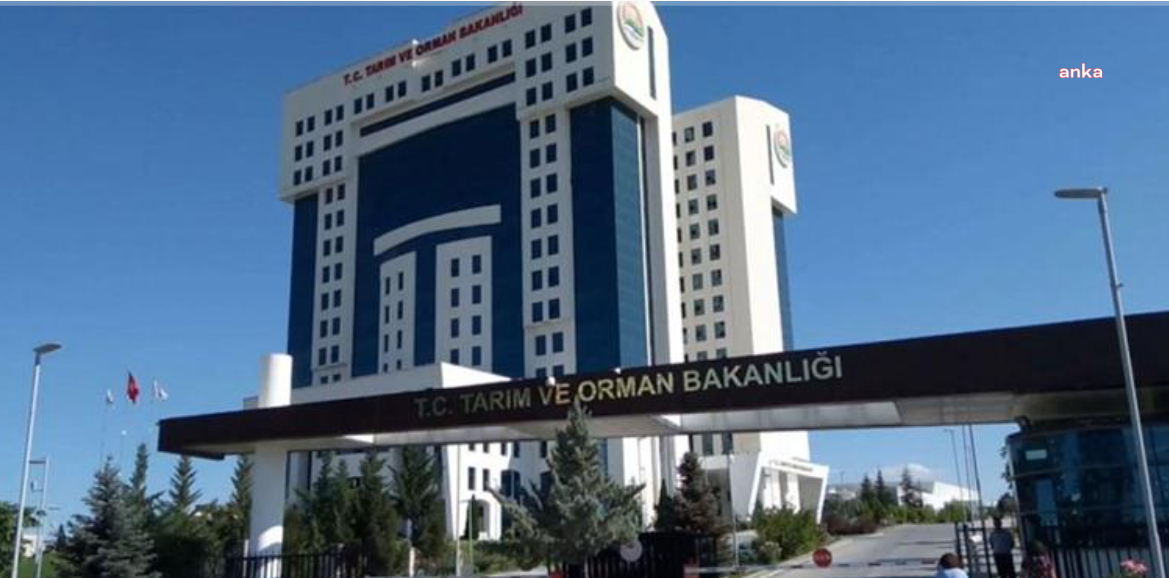 Tarım ve Orman Bakanlığı duyurdu: Şekerden sonra tereyağı...