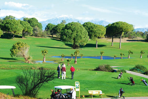 Sedat Peker gündeme taşımıştı: 1250 ağacı kesip golf sahası yapacaklar