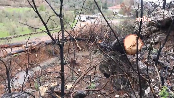 Marmaris yangınının sorumlusu tutuklandı