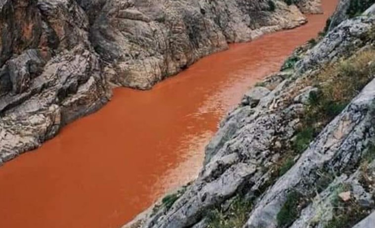 Fırat kan ağlıyor! Suda korkunç görüntüler...