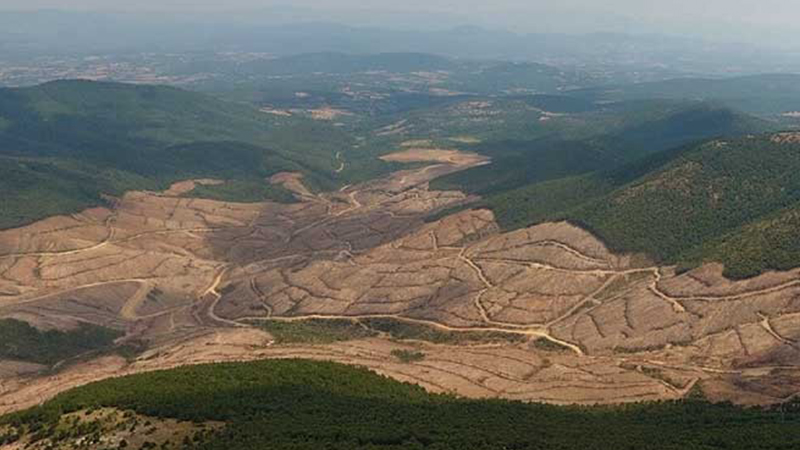 Mahkeme Kazdağı'nda Cengiz Holding'e 'dur' dedi