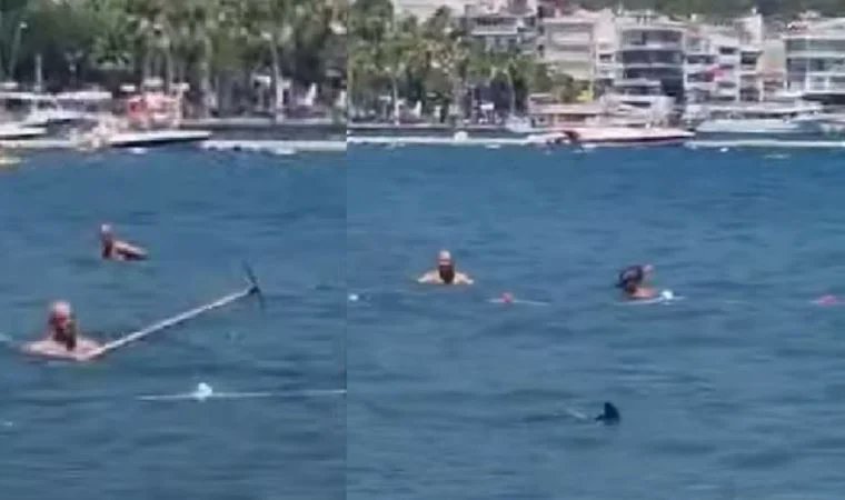 Marmaris'te köpekbalığı sanıp kovalamışlardı... Gerçek sonra ortaya çıktı