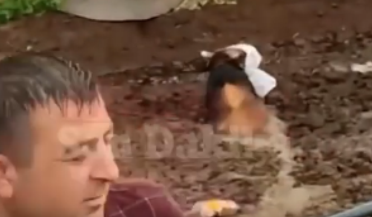 Ankara'da kaçan kurbanlık çamura battı! 1 kişi yaralandı