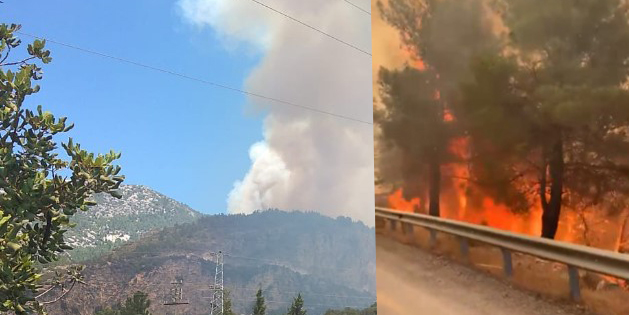 Datça alev alev yanıyor
