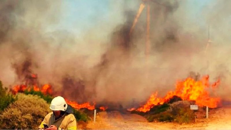 Datça'da yangın büyüyor! Alevler evlere, sahil yoluna ve mezarlıklara sıçradı