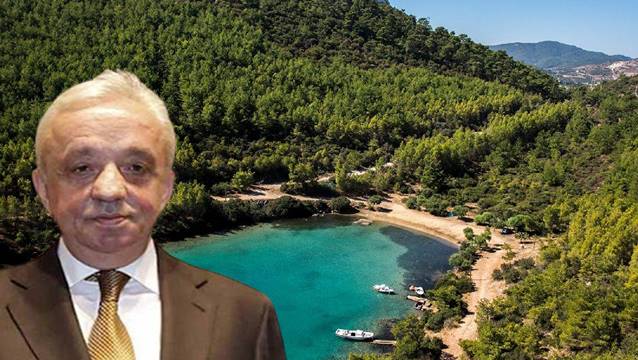 Cengiz İnşaat'tan 'Cennet Koyu' açıklaması: Ağaç kesmeyeceğiz, dikeceğiz